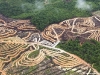 Palmöl Plantagen - © Greenpeace - Daniel Beltrá